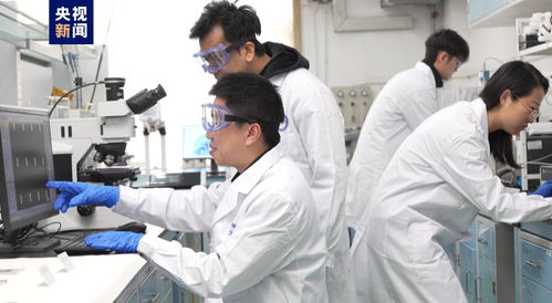 我國科研人員實現二維金屬碲化物材料宏量制備，助力材料科學規模化應用